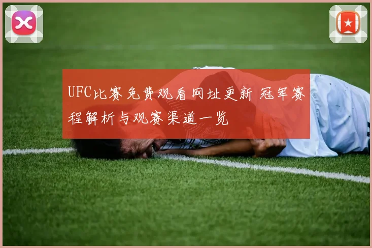 UFC比赛免费观看网址更新 冠军赛程解析与观赛渠道一览