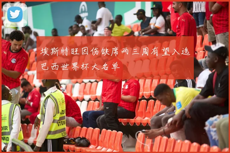 埃斯特旺因伤缺席两三周有望入选巴西世界杯大名单