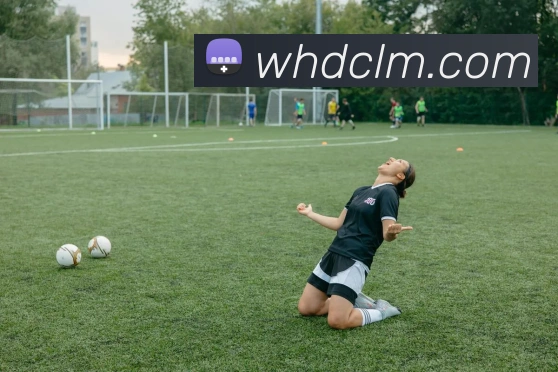 米兰网页版官网入口APP 体育赛事宣传图